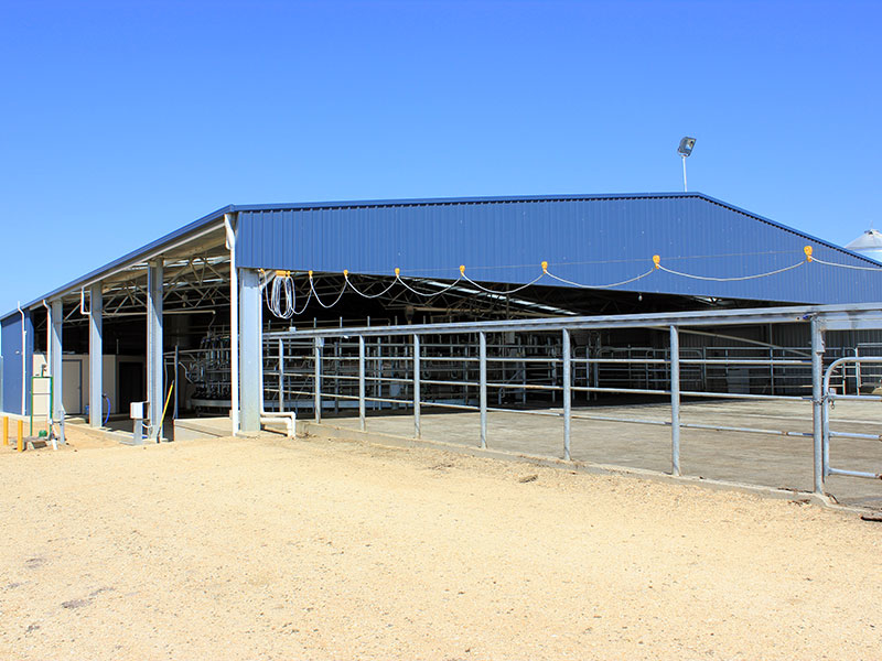 Dairy Sheds: Economical & Customisable - Bairnsdale Engineering, Vic.