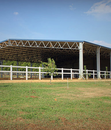Mary-Lou, Equestrian Arena, Giffard West