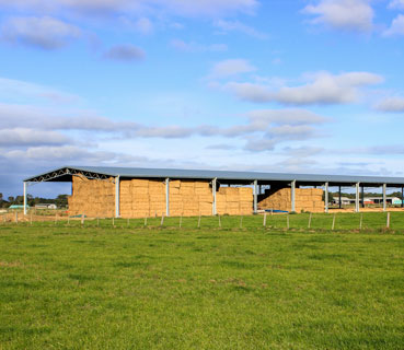 Colin - Hay Shed and Feed Pad Cover, Gippsland