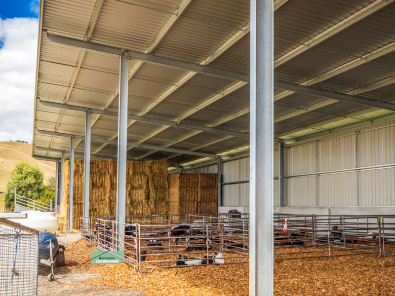 Calf Sheds Bairnsdale Engineering
