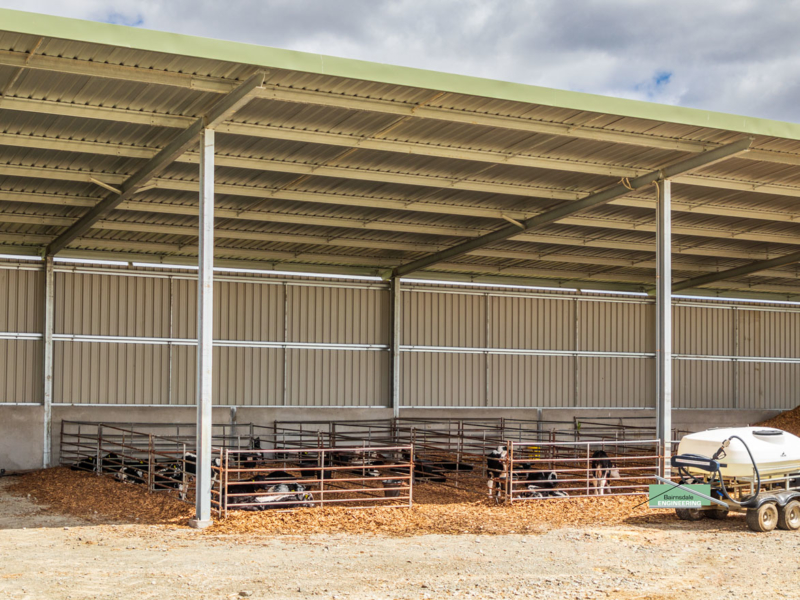 Calf Sheds