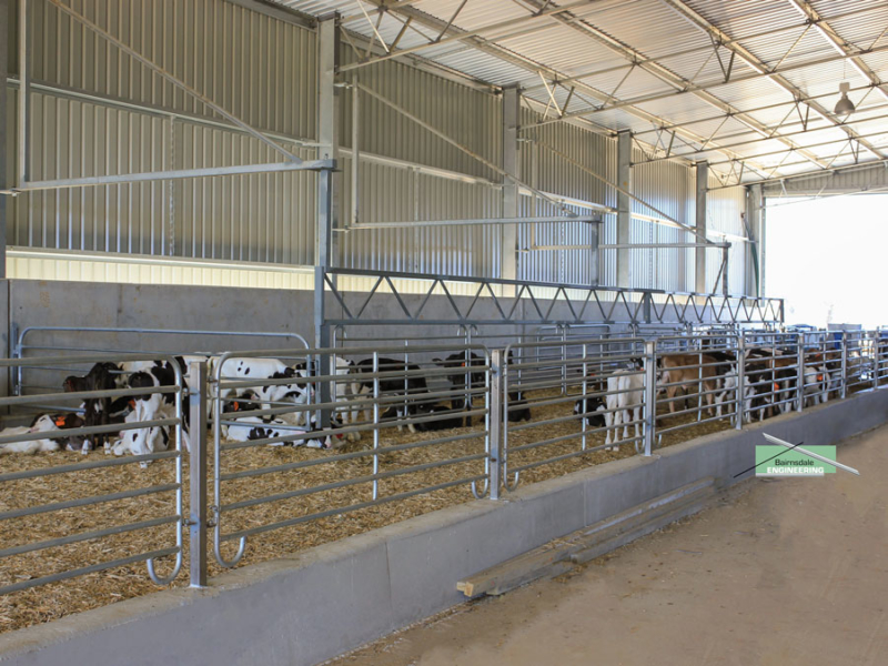 Calf Sheds: Built like they should be - Bairnsdale Engineering