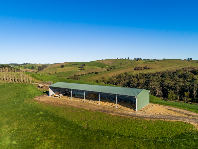 Calf rearing shed
