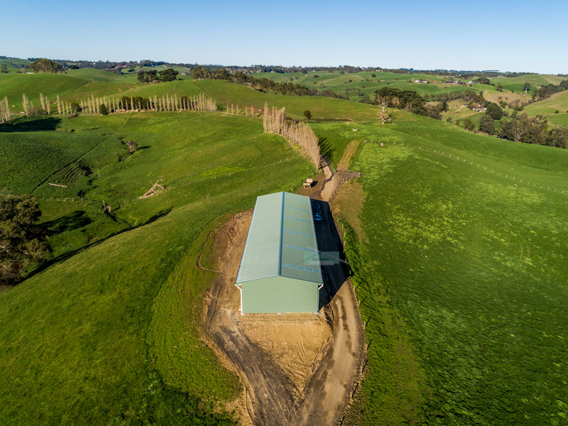 Calf rearing shed