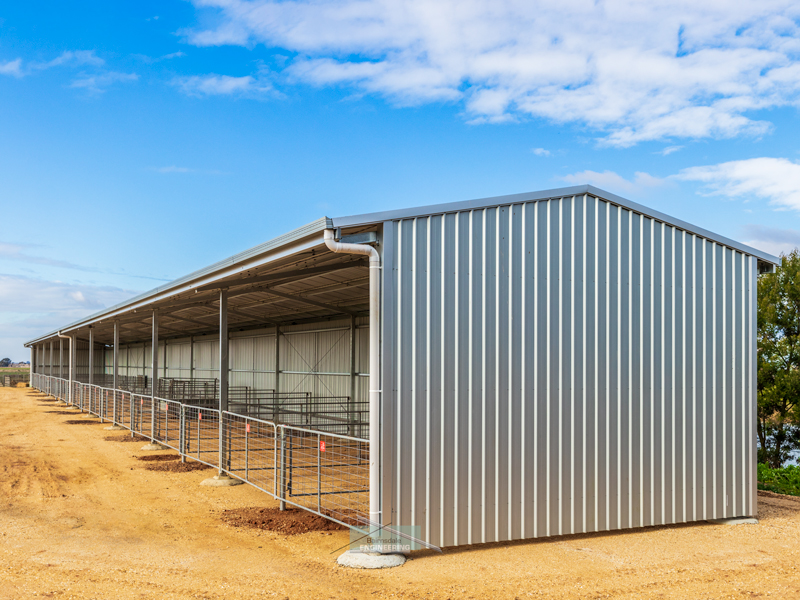 calf rearing shed
