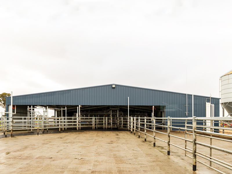 Dairy Shed