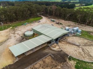 Dairy shed and stock yard cover