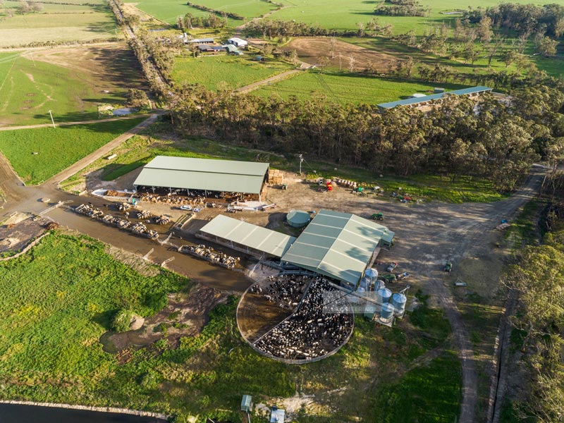 Ian - Dairy Farmer, Hedley