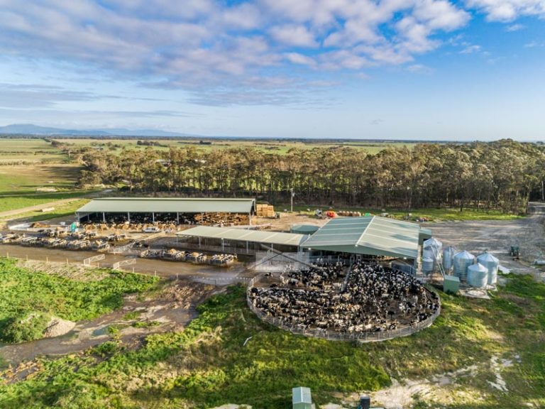 Rotary dairy shed Bairnsdale Engineering