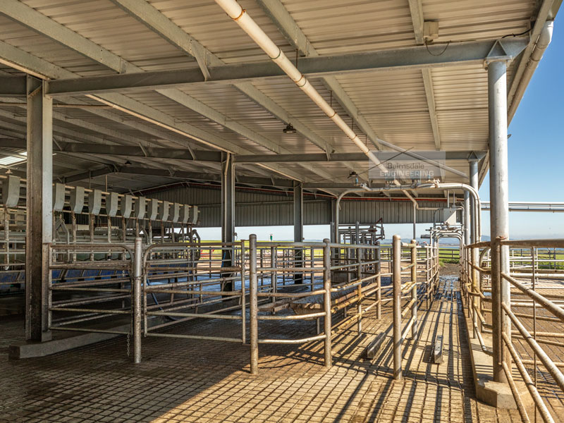 Herringbone dairy with awning