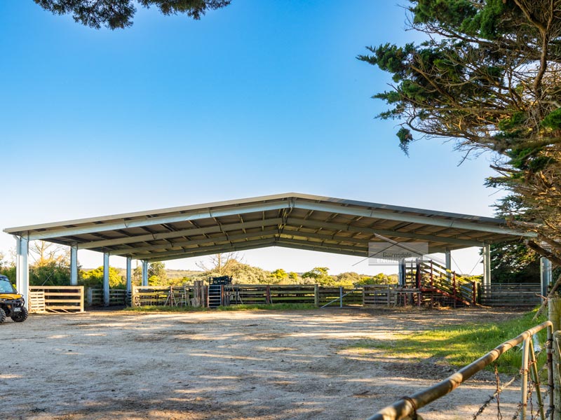 30m span stockyard cover