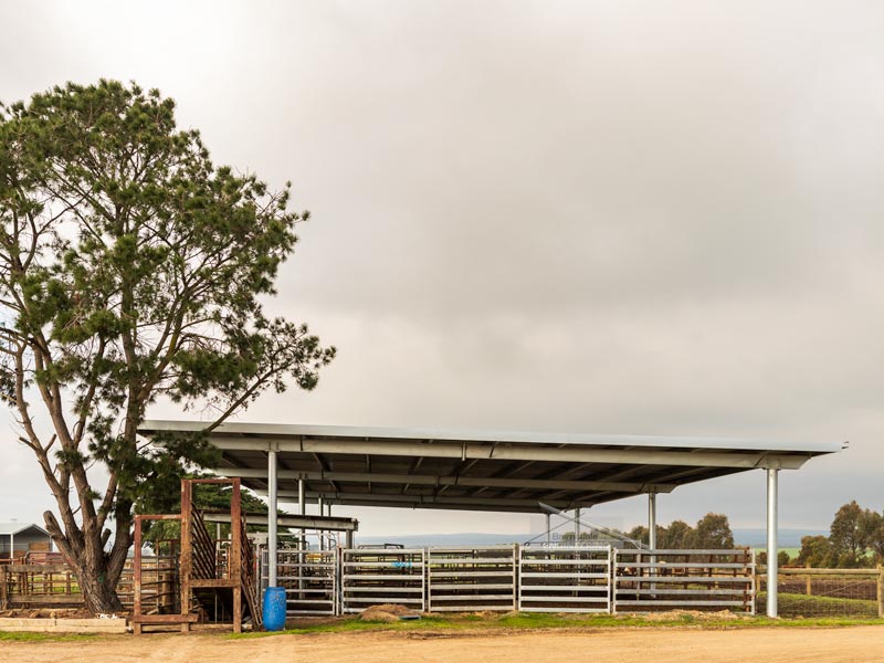 Skillion stockyard cover