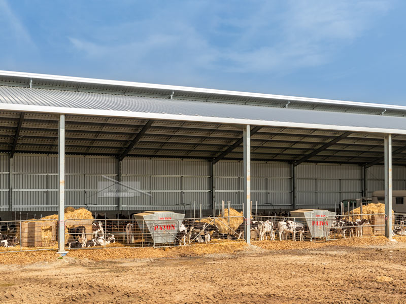 calf shed