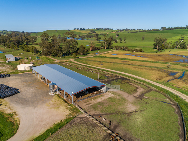 ventilated calf shed