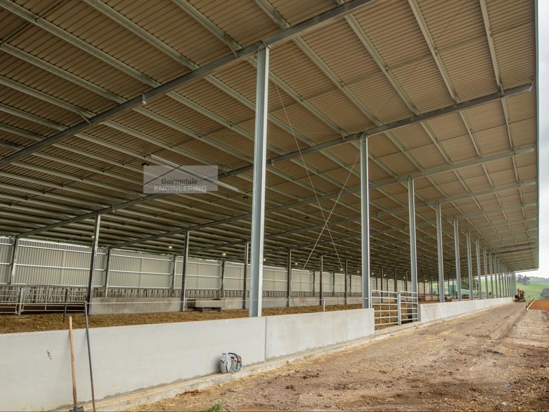 31m wide Calving shed