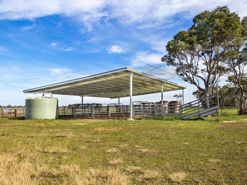 Skillion stock yard cover