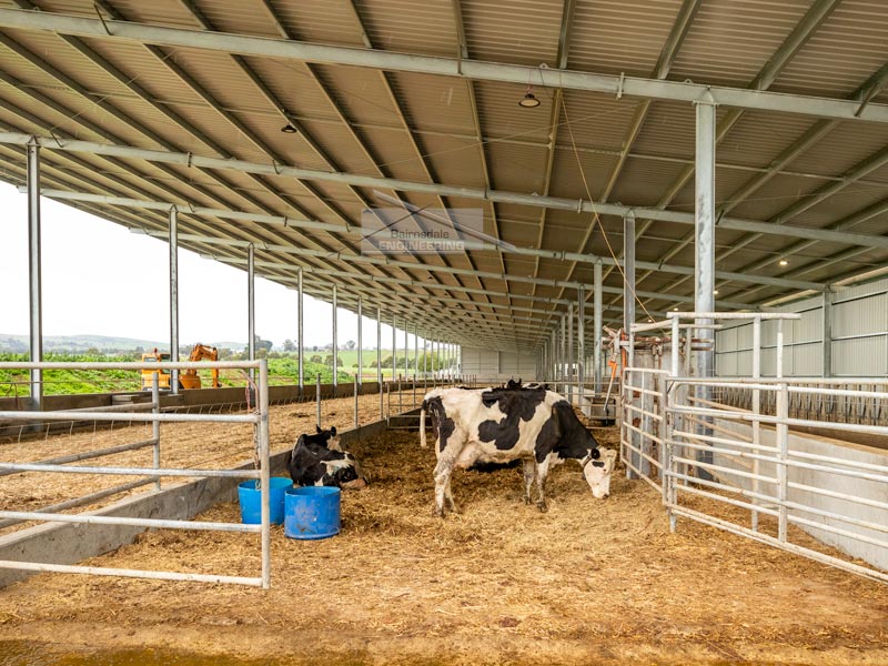 Ventilated dairy wintering barn