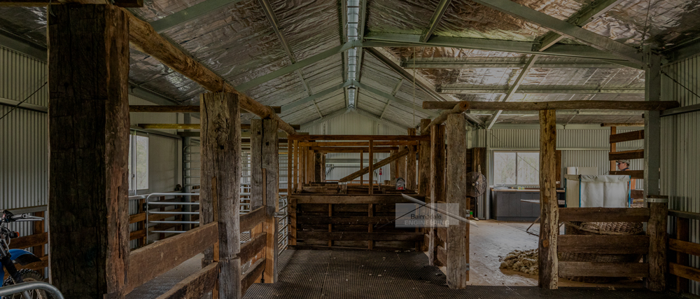 Custom Shearing Shed