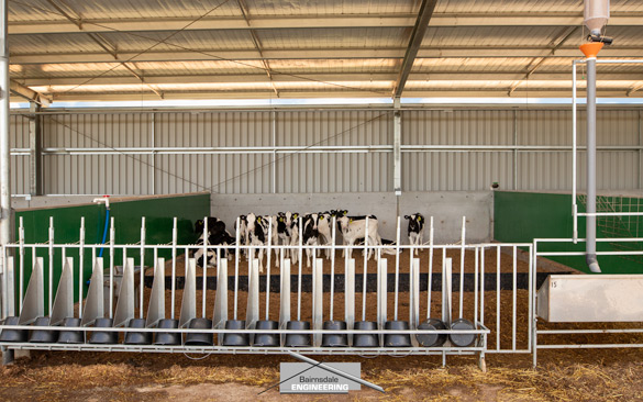 Darren - Calf Rearing Shed, Maffra